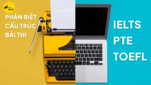 phân biệt cấu trúc bài thi pte ielts