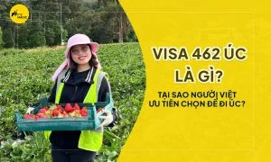 Visa 462 Úc hướng dẫn ballot visa