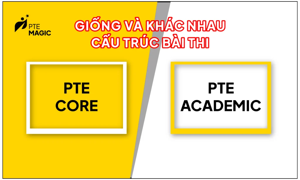 Pasted-7