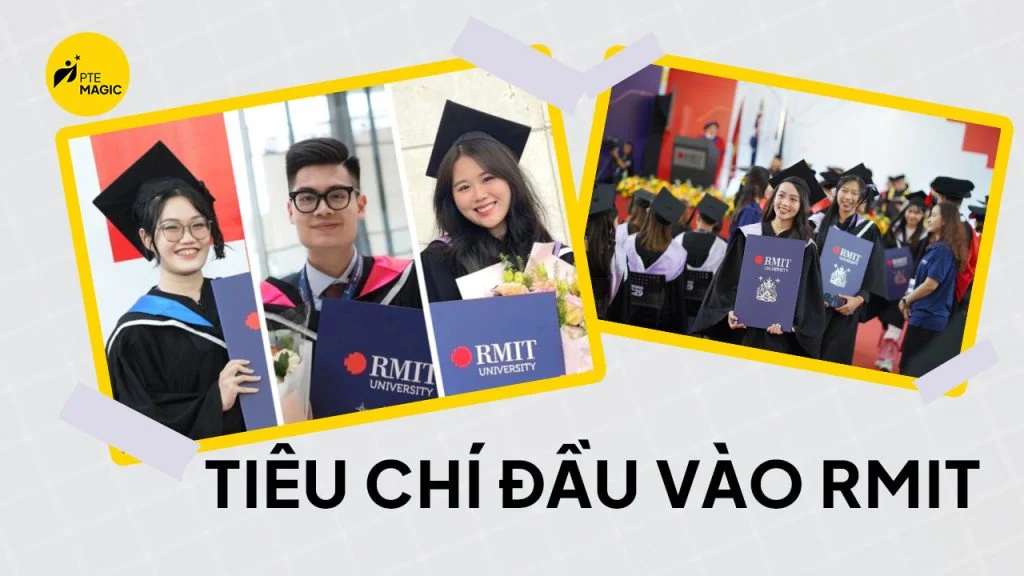tiêu chí đầu vào rmit