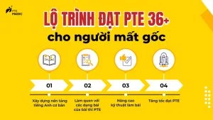 lo-trinh-pte-36-cho-nguoi-mat-goc