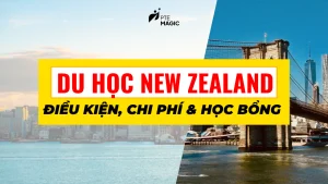 du hoc new zealand dieu kien chi phi hoc bong moi nhat
