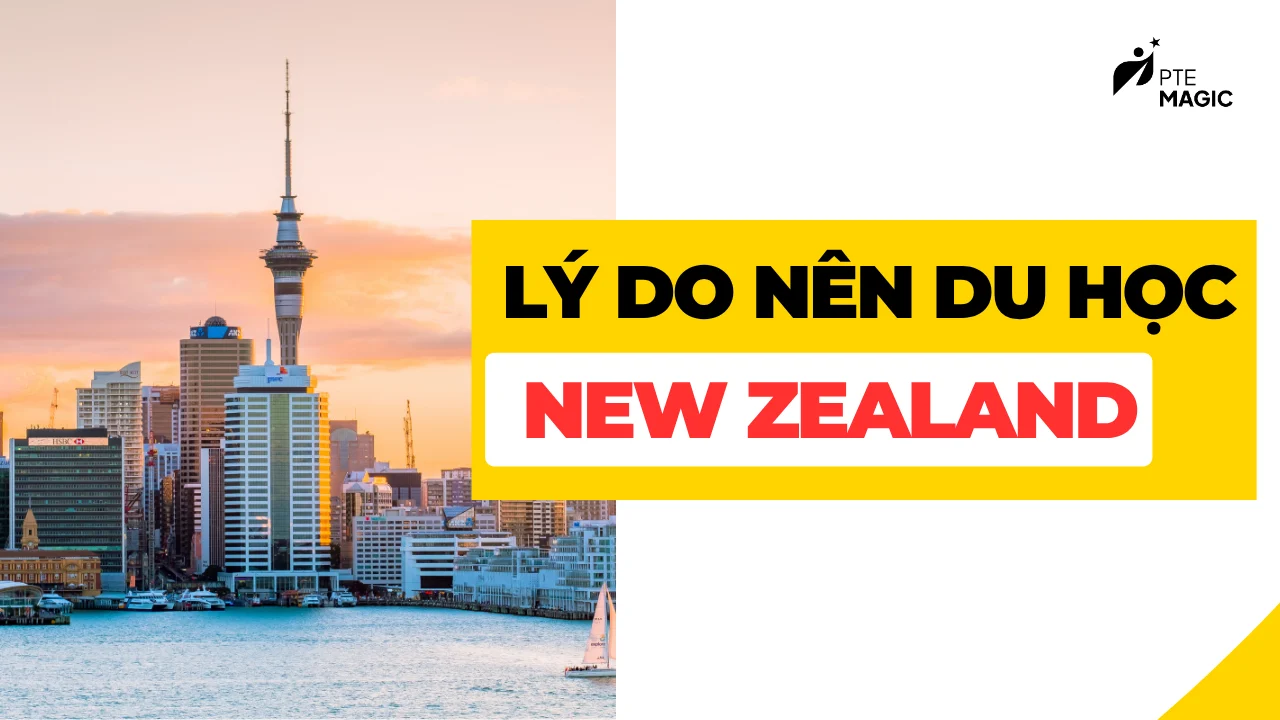 ly do nen du hoc new zealand